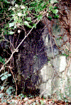 camouflage casemate nord ouest.gif (218663 octets)