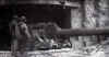 casemate 1 1944.jpg (163243 octets)