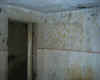 vue piece avec tache peinture.jpg (102596 octets)