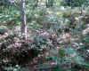 vue tranche 2.jpg (332780 octets)