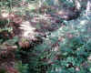 vue tranche 3.jpg (332626 octets)